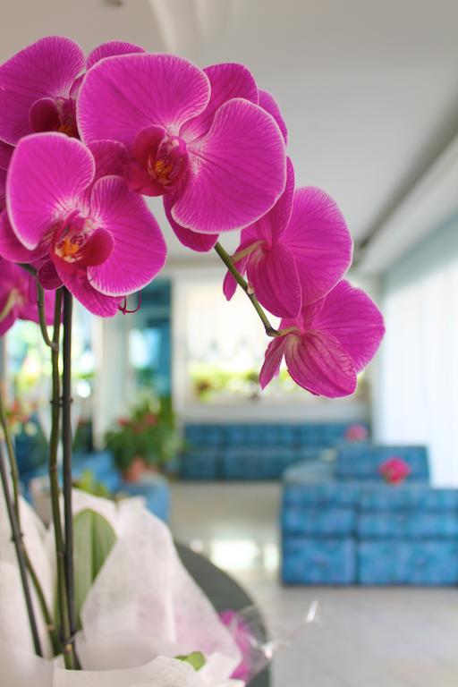 Hotel San Paolo ริมินี ภายนอก รูปภาพ